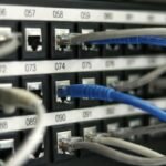 Home Blue and gray network cables connected to a patch panel